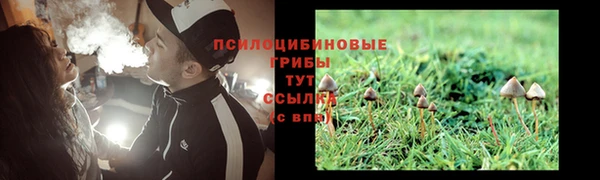 гидропоника Кинешма